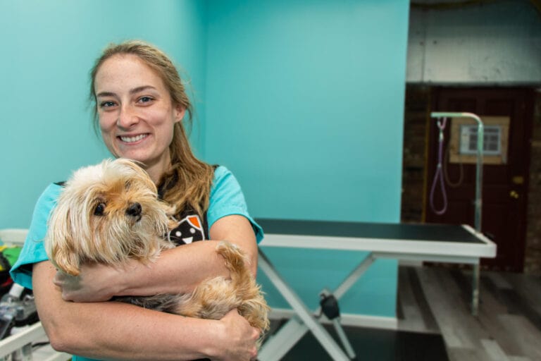 a dog groomer holding a dog in front of a blue wall