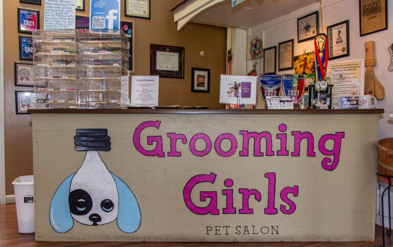 grooming girls pet salon board