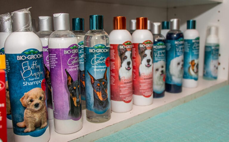 all natural dog shampoos lined up at grooming girls pet salon